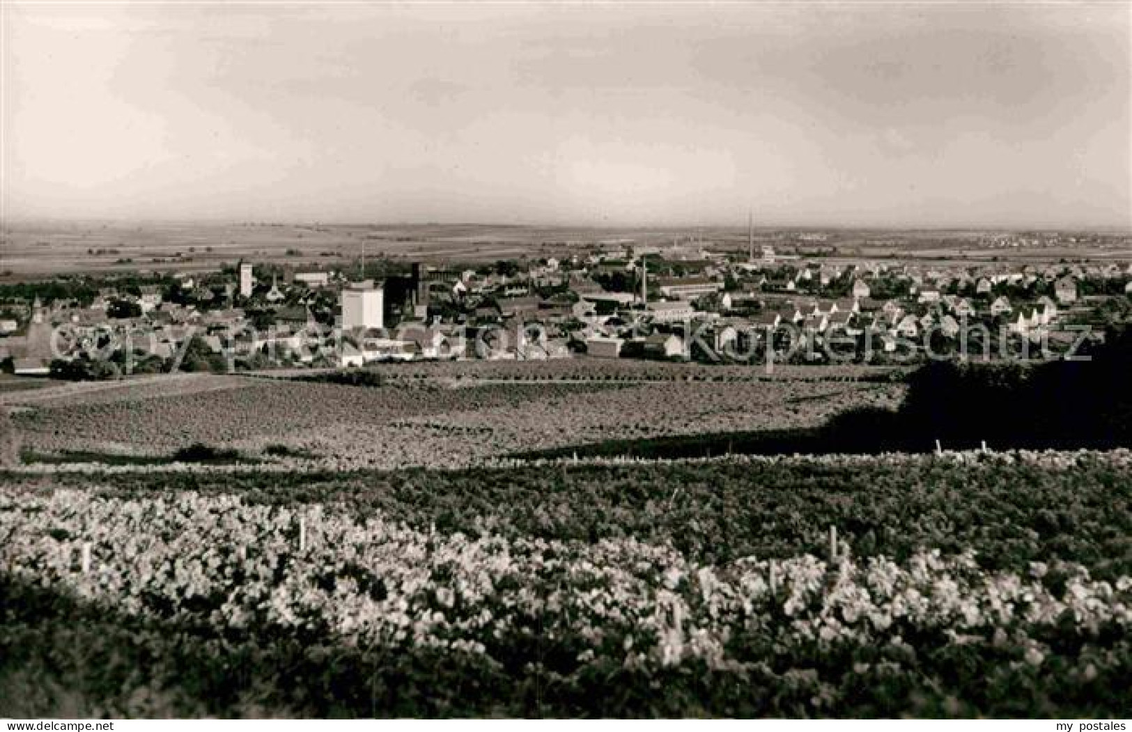 Gruenstadt Panorama
