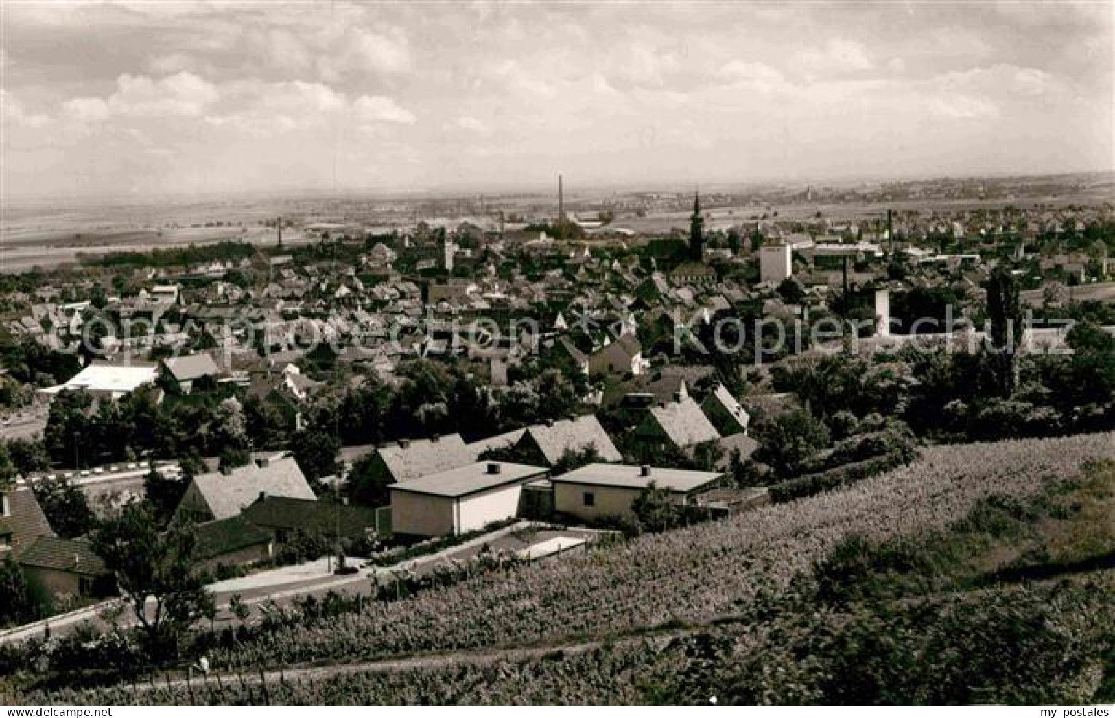 Gruenstadt Panorama