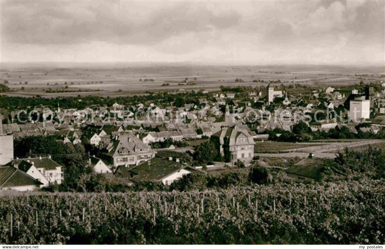 Gruenstadt Panorama