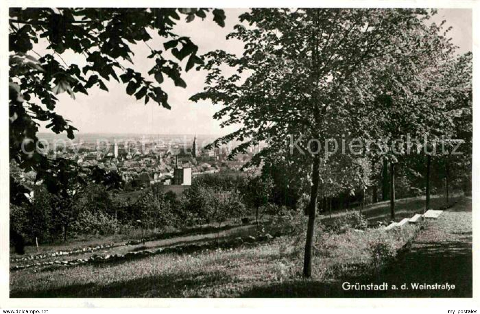 Gruenstadt Panorama