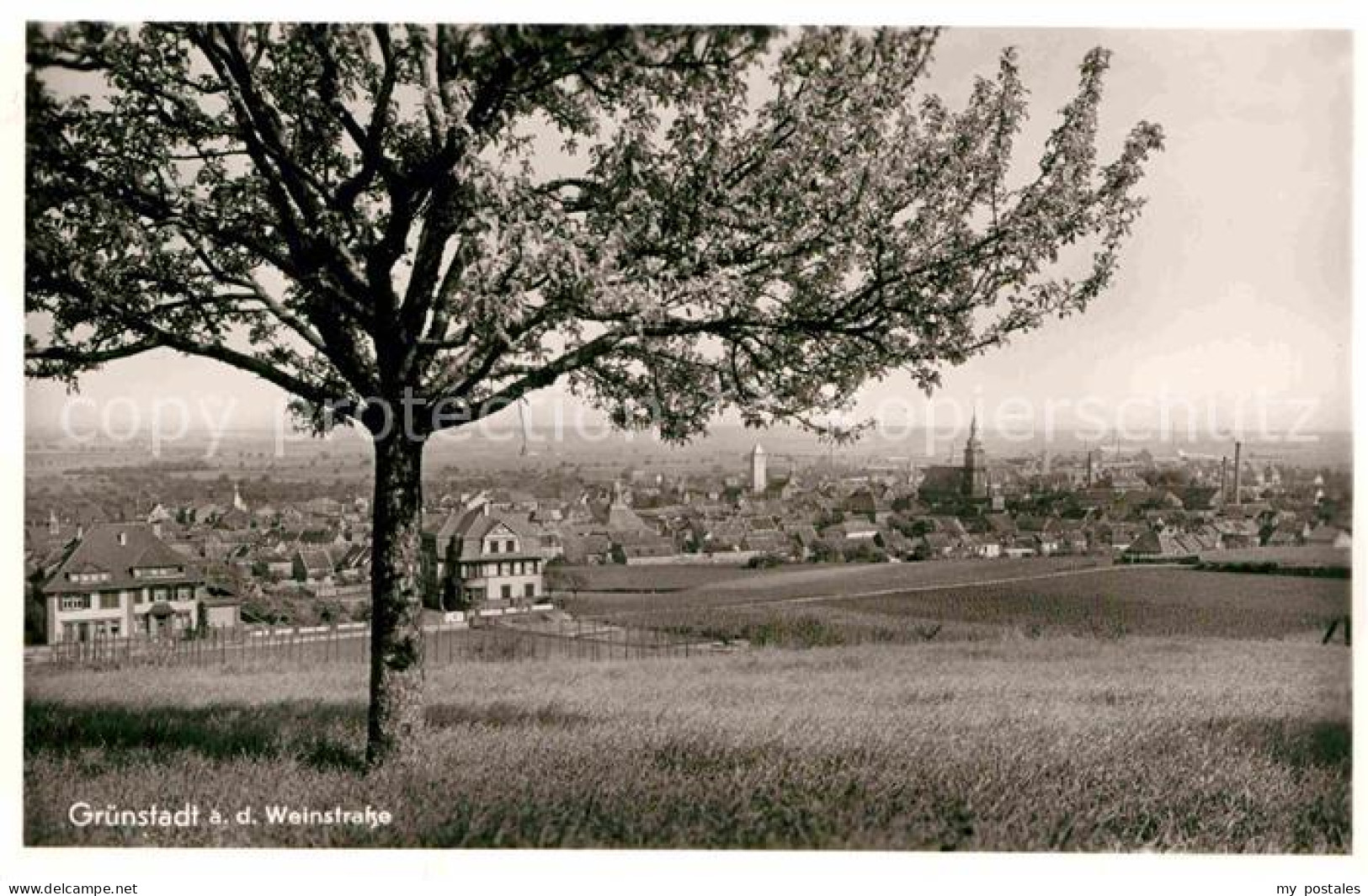 Gruenstadt Panorama
