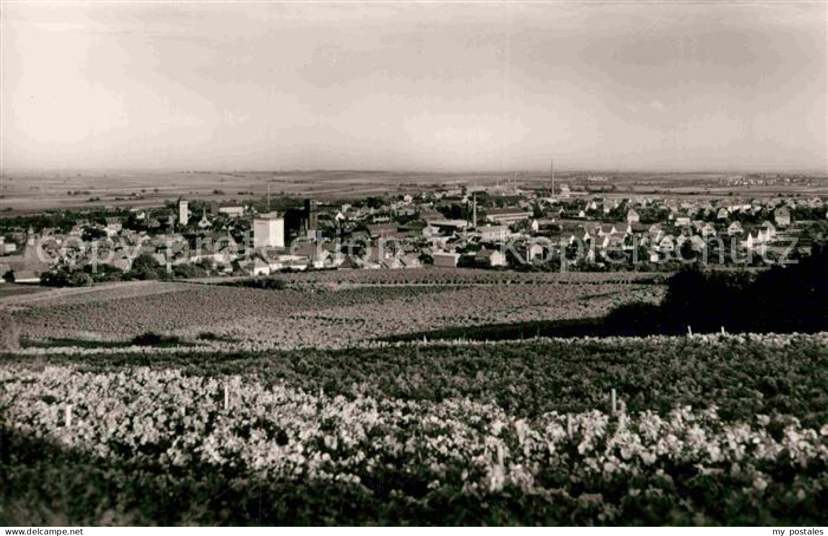 Gruenstadt Panorama