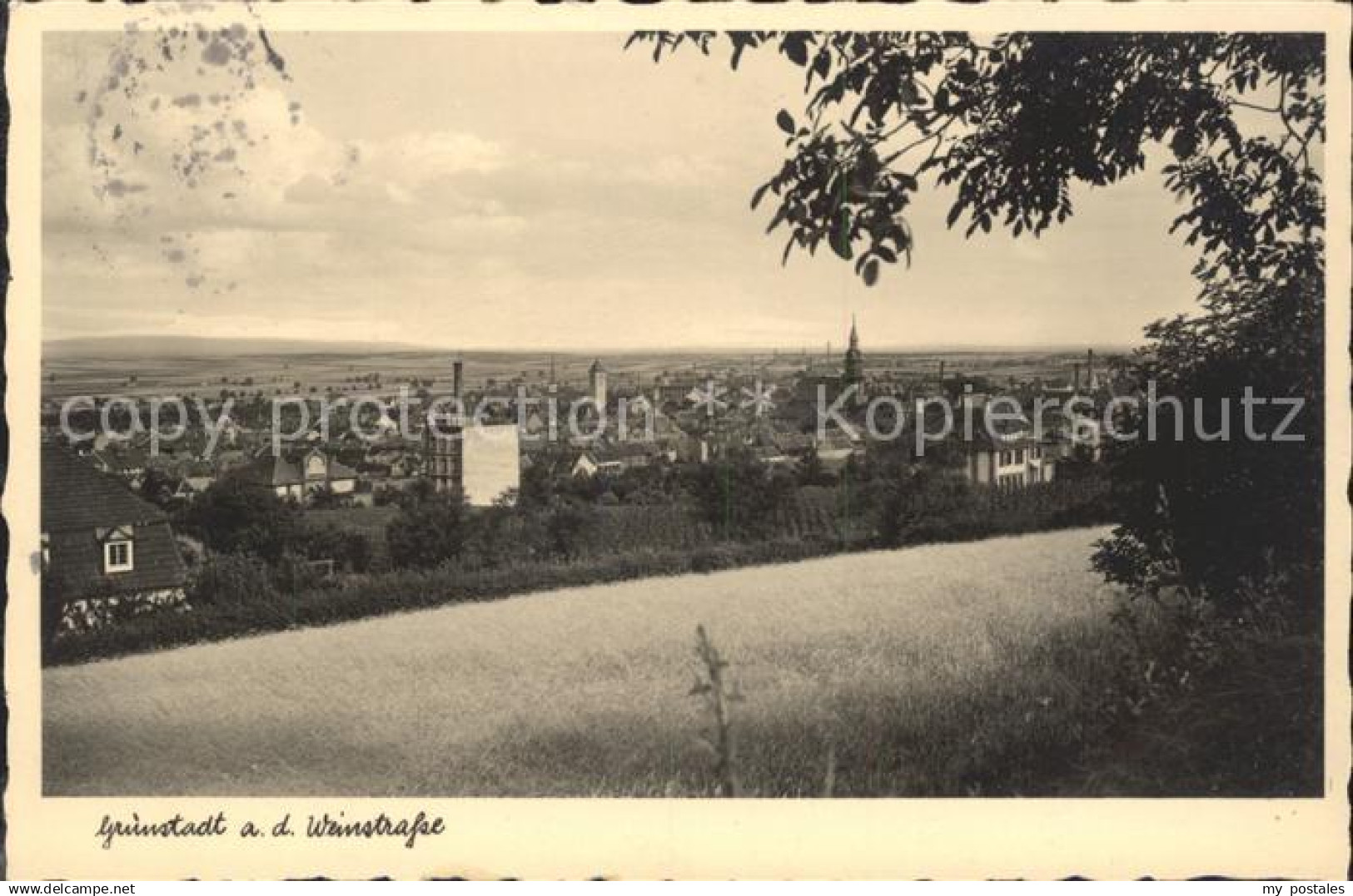 Gruenstadt Weinstrasse