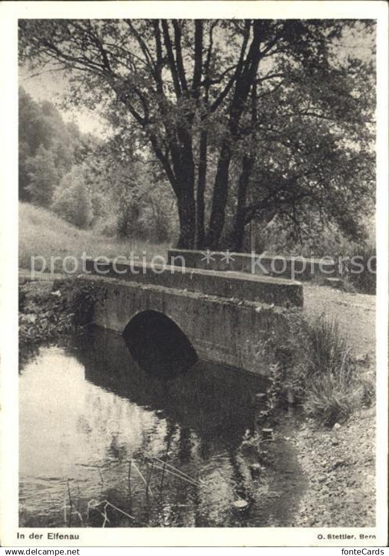 Gruesch Partie in der Elfenau