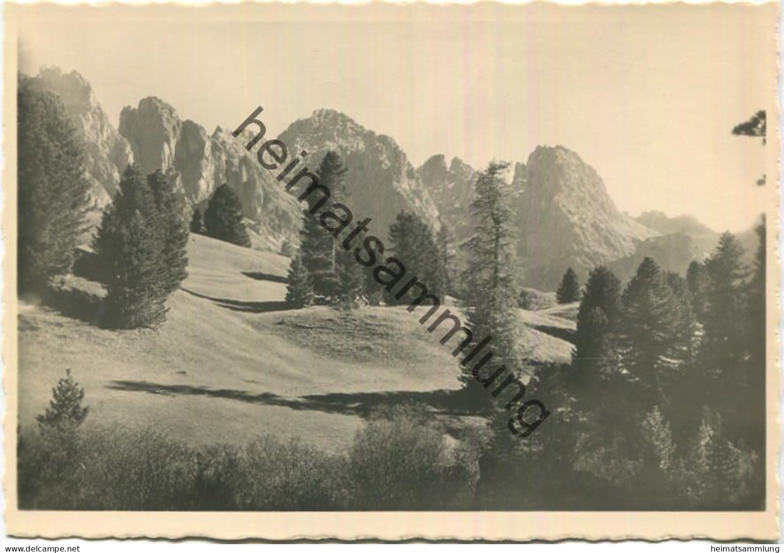 Gruppo Cir Val Gardena - Geislergruppe Gröden - Foto-AK Grossformat 40er Jahre - Verlag J. F. Amonn Bolzano Nr. 39009