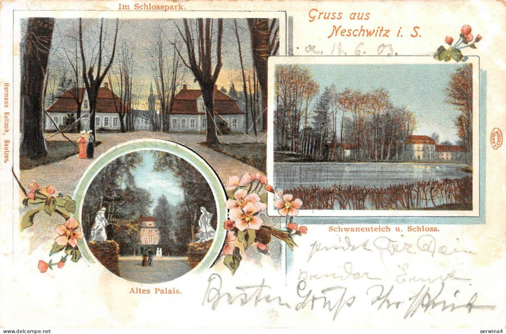 Gruss aus Neschwitz Schwanenteich und Schloss, Altes Palais Sachsen AK 1903