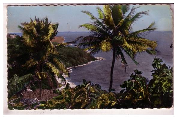 GUADELOUPE , Trois Rivieres , cpsm