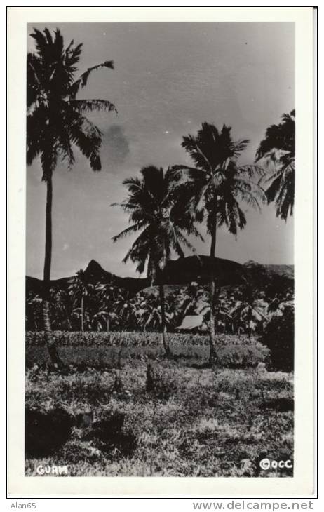 Guam, Buildings and Farm(?) on c1940s/50s Vintage Real Photo Postcard