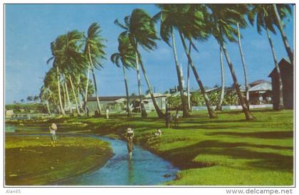 Inarajan Guam, Village Scene Children Carry Food Home, c1960s Vintage Postcard