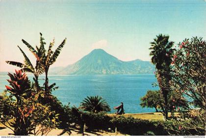 [-10%] GUATEMALA - Lago de Atitlán - nature - paysage - palmier - Edmundo Coshaj Gómez - MODERNAS & Cía Ltda - Carte pos