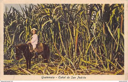 Guatemala - Cañal de San pedrito - Ed. Adolfo Biener