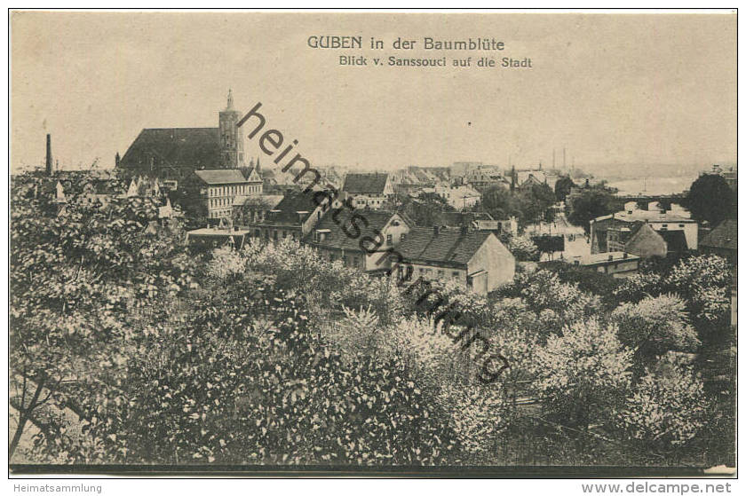 Guben in der Baumblüte - Blick von Sanssouci auf die Stadt - Verlag Julius Rothe Guben