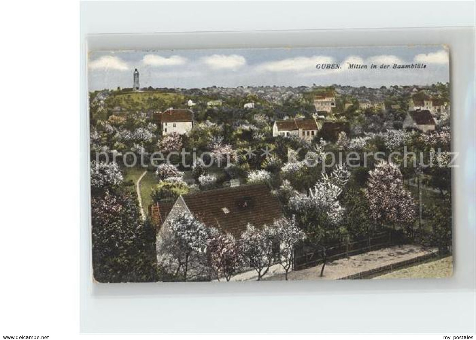 Guben Mitten in der Baumbluete