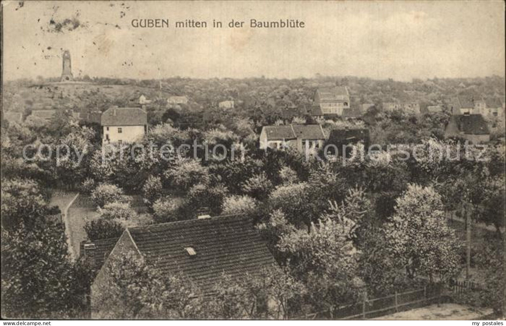 Guben Panorama Baumbluete