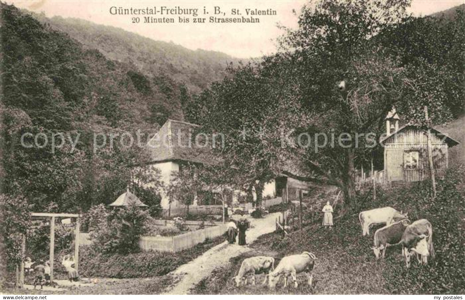 Guenterstal Freiburg St. Valentin