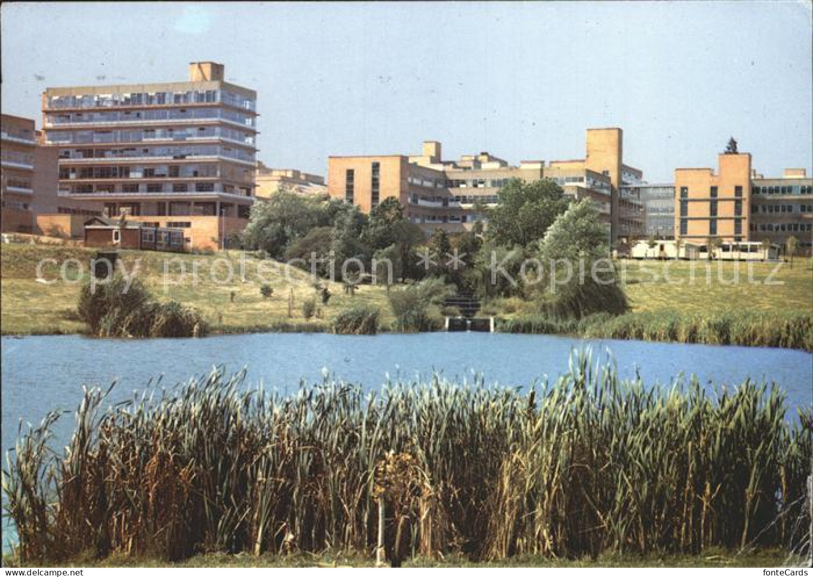 Guildford University of Surrey