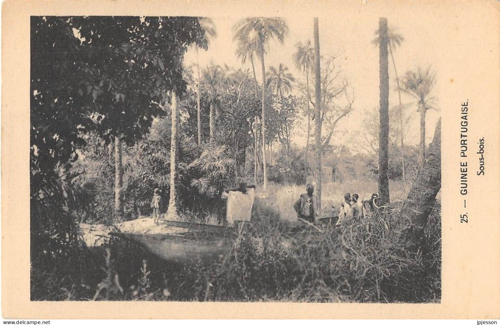 GUINEA-BISSAU - GUINEE PORTUGAISE - SOUS-BOIS