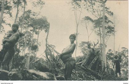 POSTAL DE GUINEA ESPAÑOLA DE MUJERES INDIGENAS EN UN DESBOSQUE A 50 km DE BATA (EXPO IBERO-AMERICANA SEVILLA 1929)