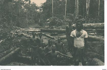 POSTAL DE GUINEA ESPAÑOLA DE UN DESBOSQUE DE LA AGRICOLA DE BATA (EXPO IBERO-AMERICANA SEVILLA 1929)
