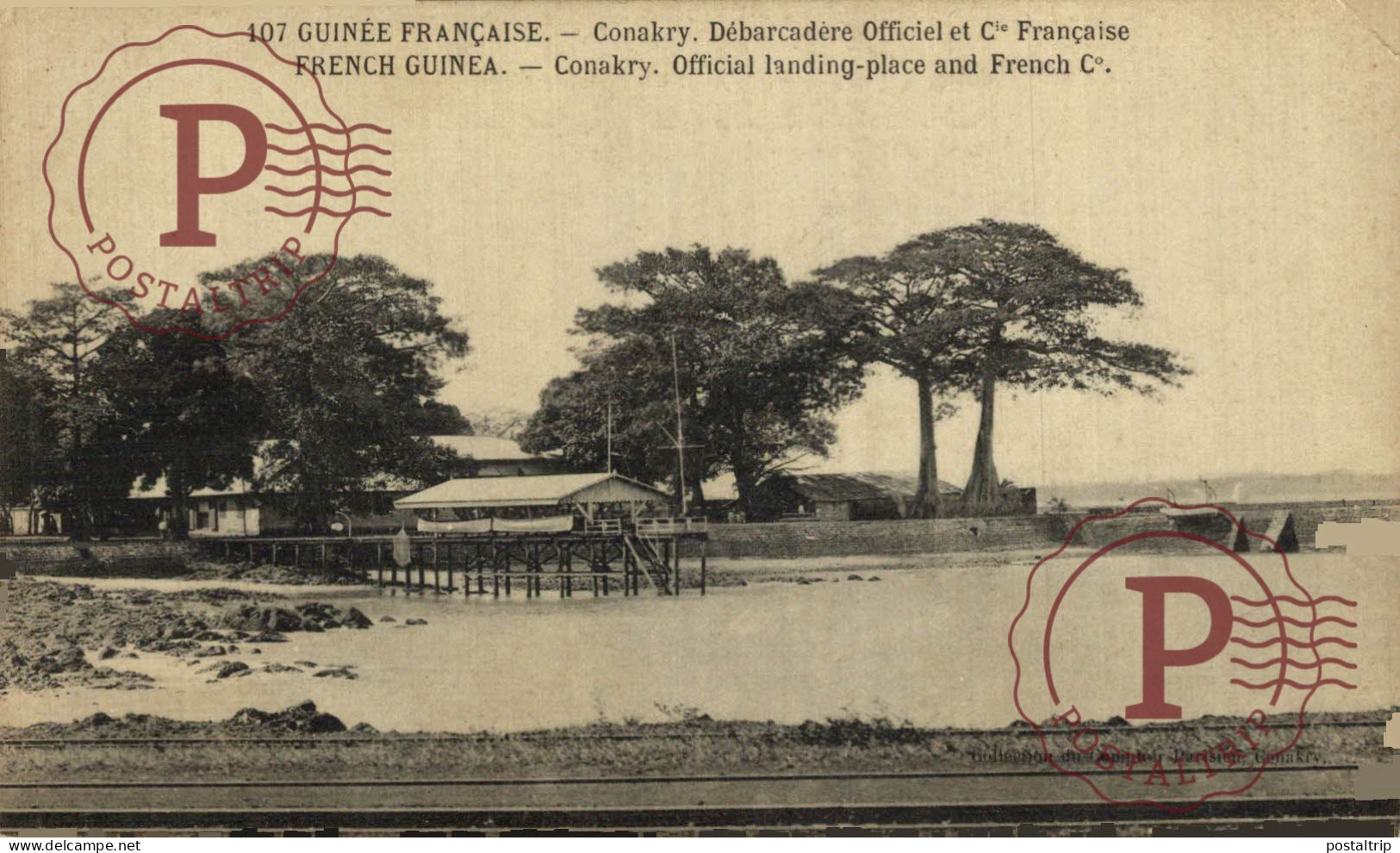 GUINEA FRANCESA. GUINEE FRANÇAISE. CONAKRY.  Débarcadère officiel et Cie Française