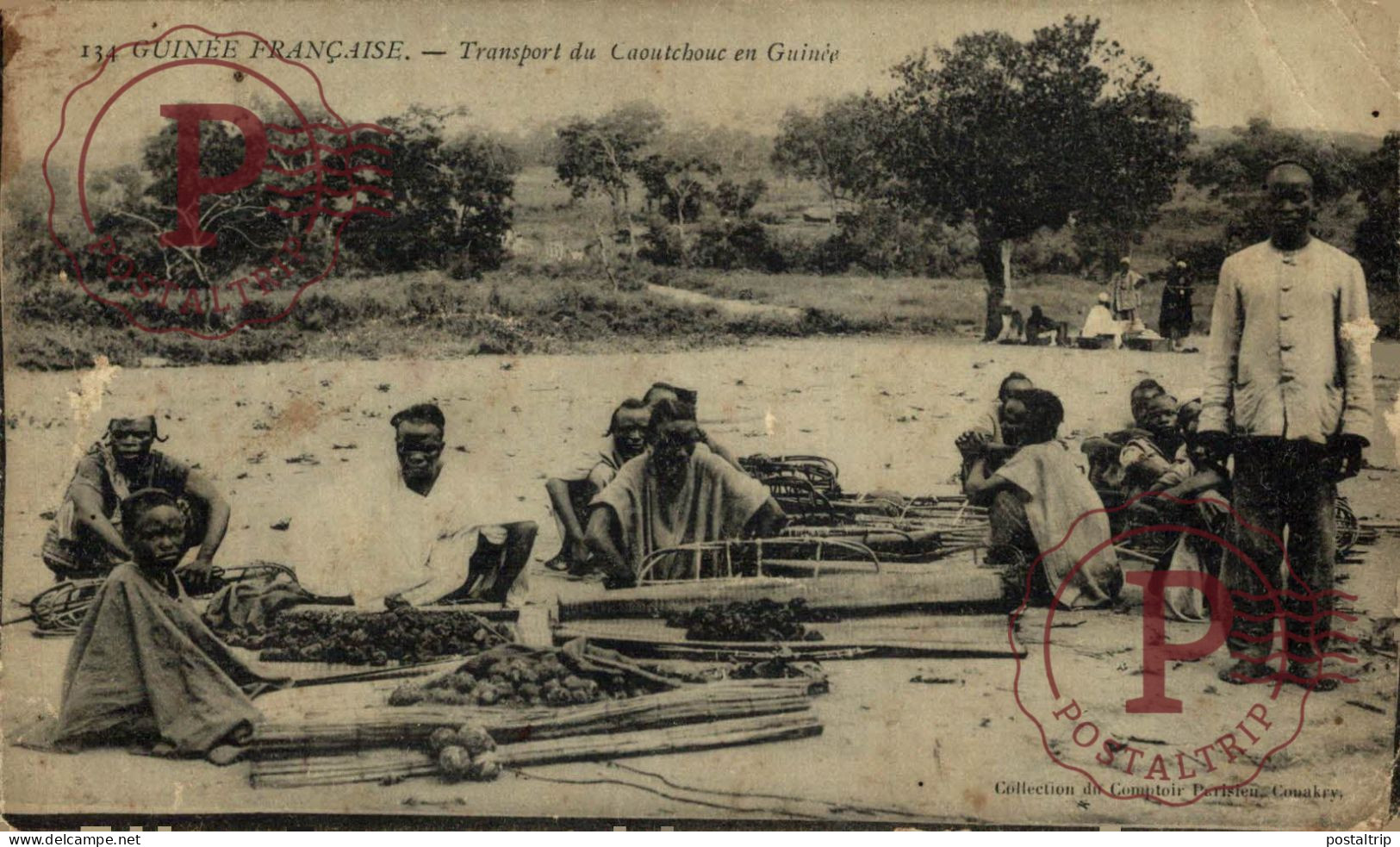 GUINEA FRANCESA. GUINEE FRANÇAISE. TRANSPORT DU CAOUTCHOUC EN GUINEE.