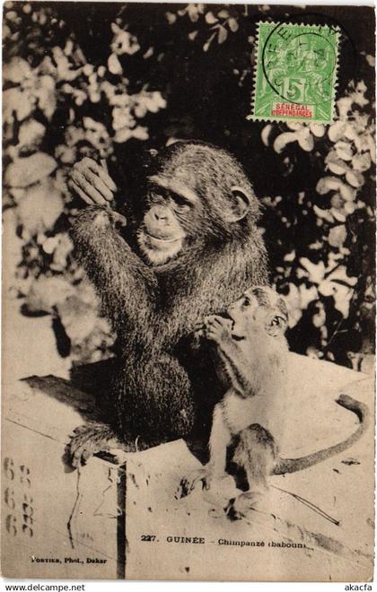 PC FRENCH GUINEA GUINÉE CHIMPANZE (a49793)