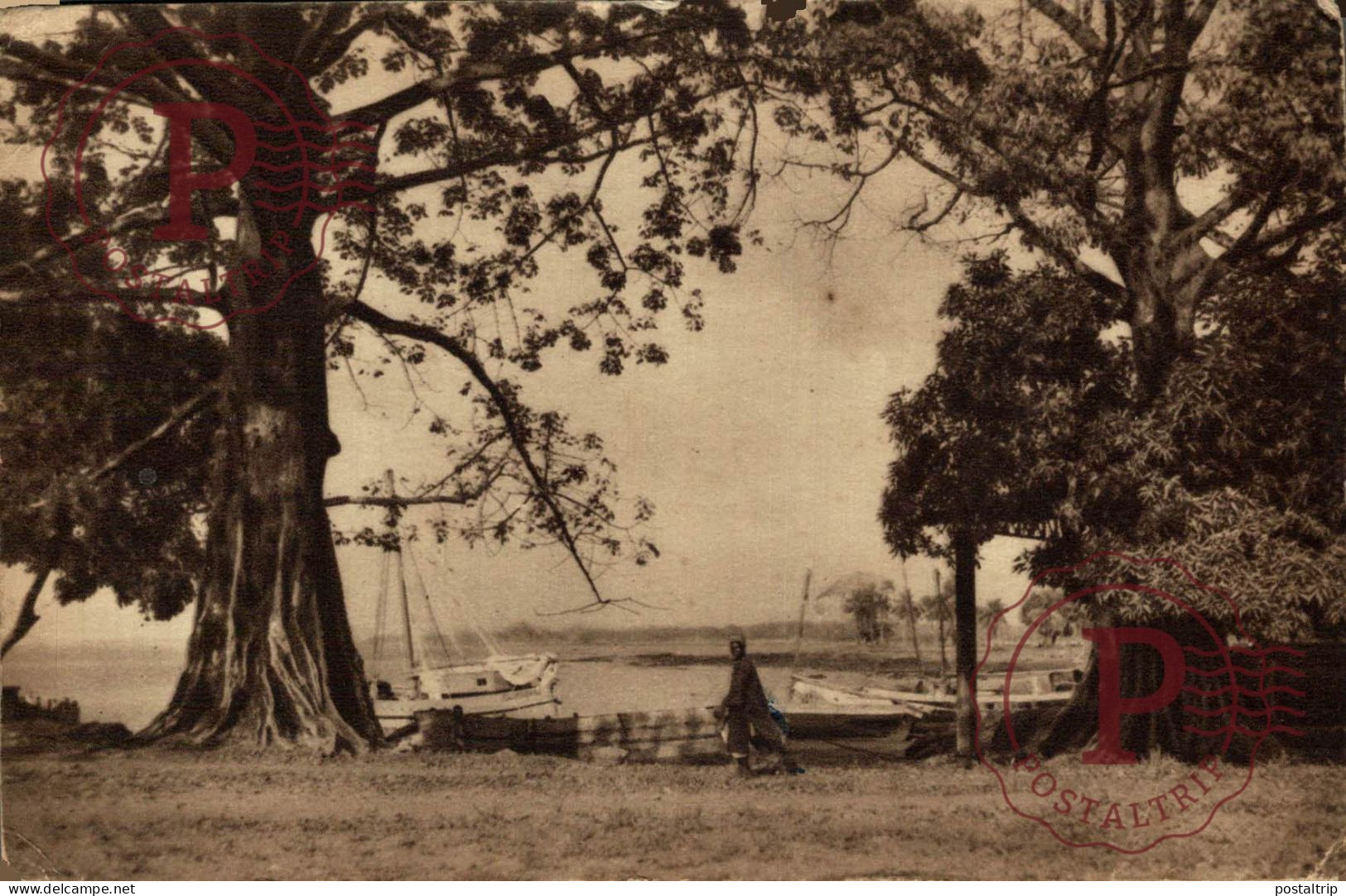 GUINEA. GUINEE FRANÇAISE. CONAKRY. CORNICHE ET BATEAUX DE PECHE.