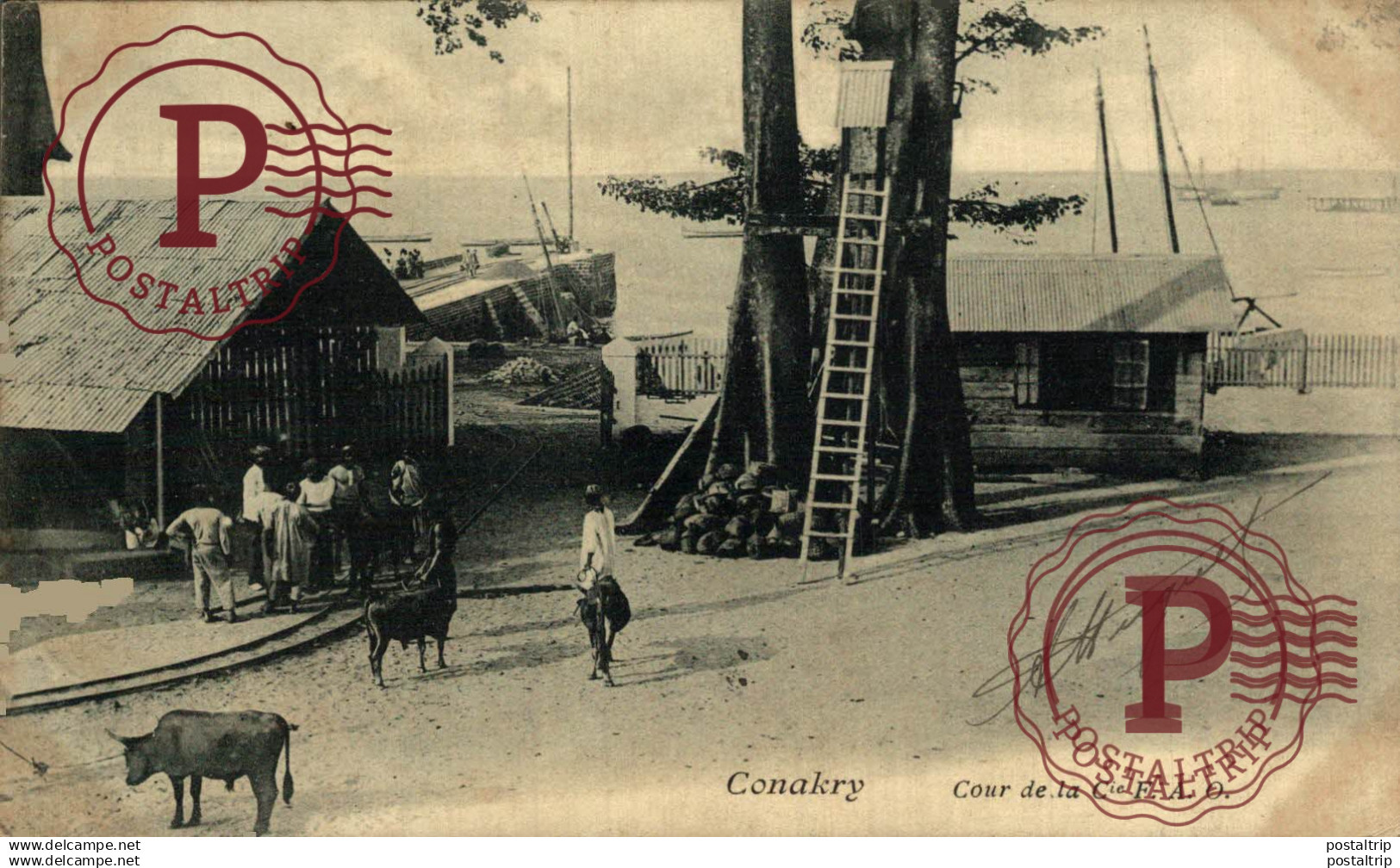 GUINEA. GUINEE FRANÇAISE. CONAKRY cour de la compagnie CFAO
