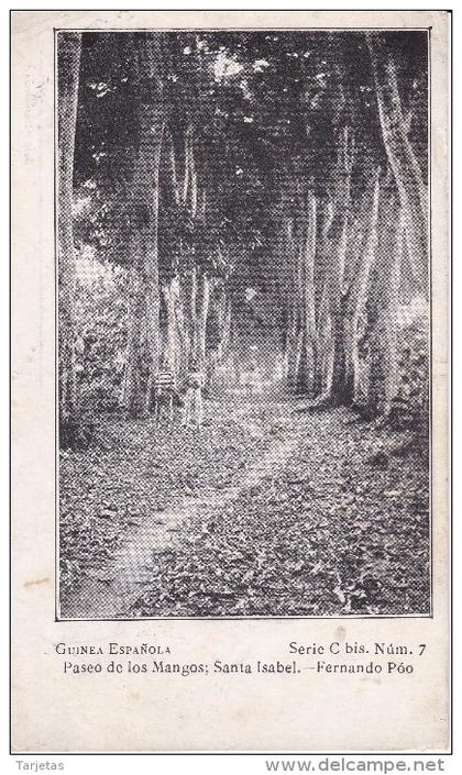 POSTAL DE GUINEA ESPAÑOLA DEL PASEO DE LOS MANGOS, EN SANTA ISABEL- FERNANDO POO