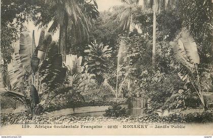 CPA Guinee Konakry Afrique Occidentale Francaise Jardin Public
