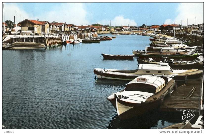 GUJAN MESTRAS 33 - Le port