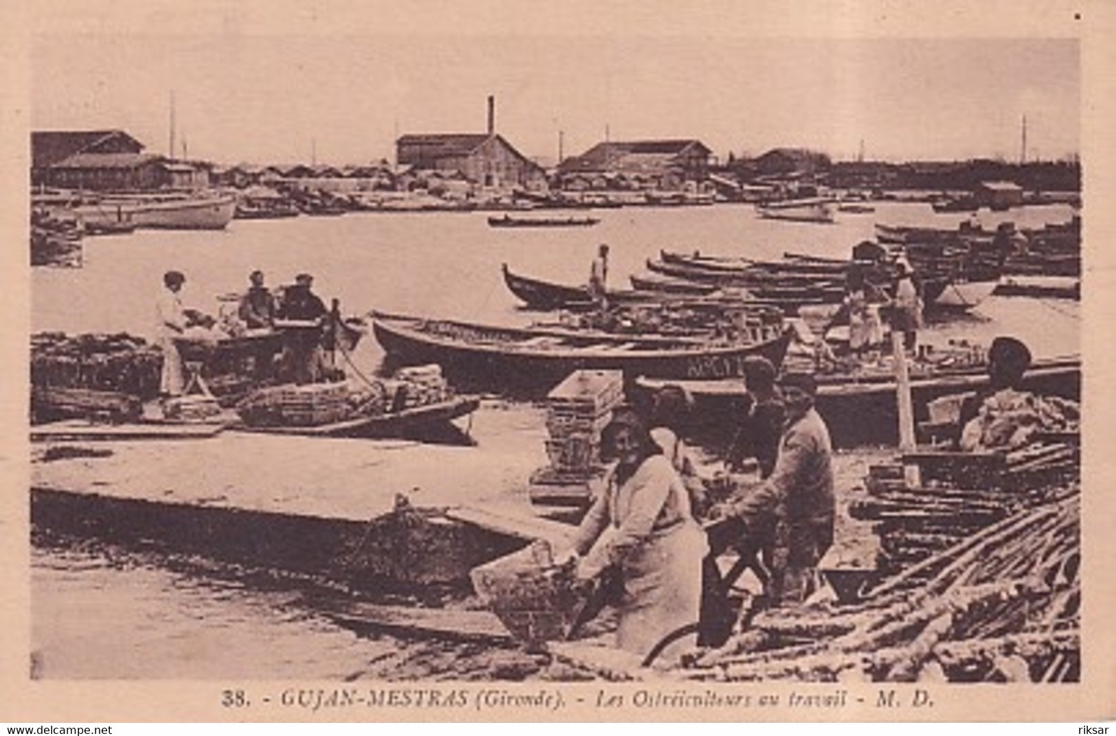 GUJAN MESTRAS(PARC AUX HUITRES)