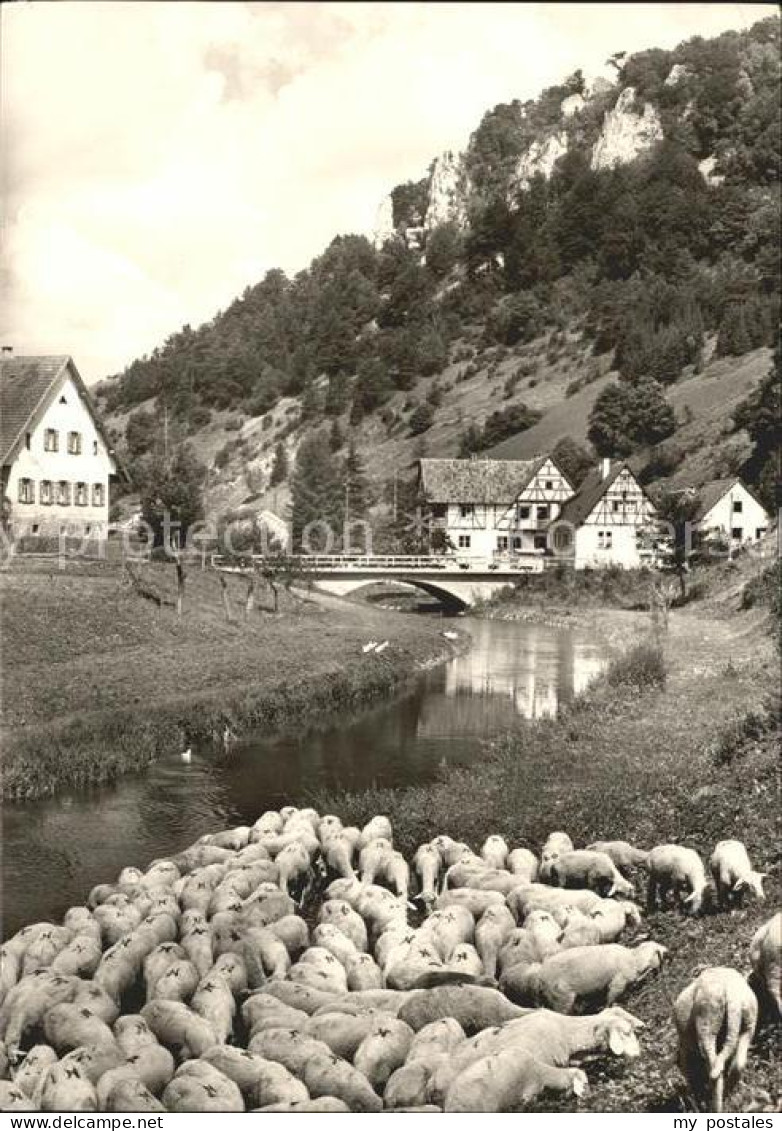 Gundelfingen Muensingen Gasthof Wittstaig