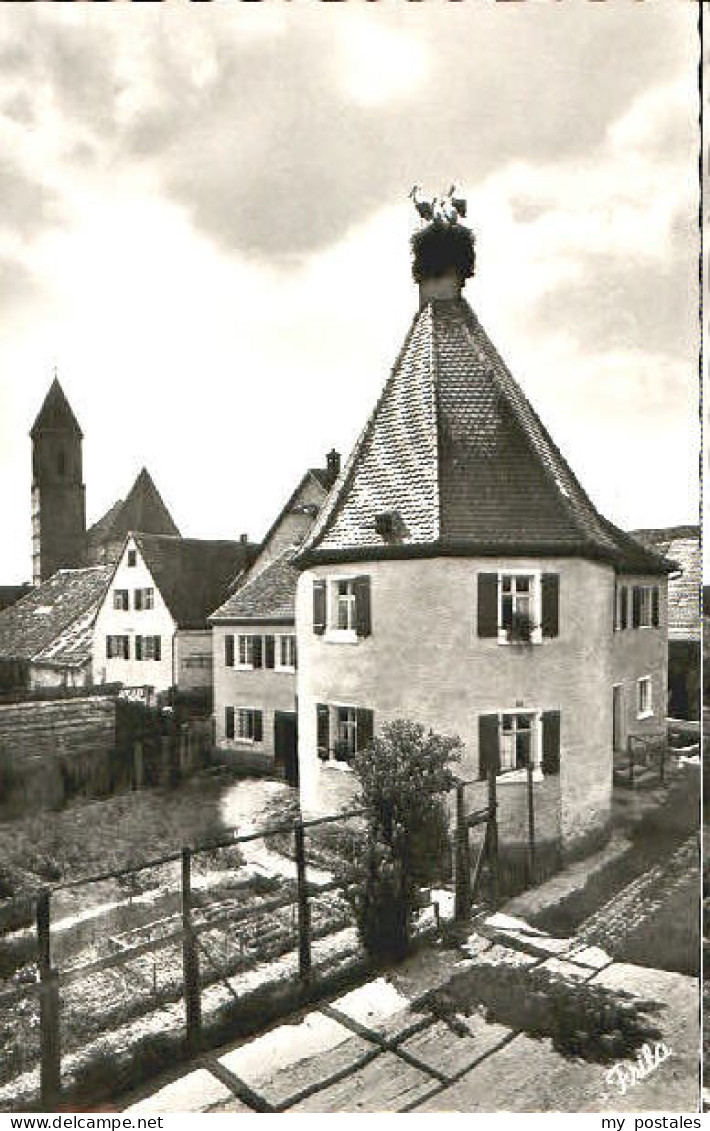 Gunzenhausen Altmuehlsee Gunzenhausen Storchennest x 1966