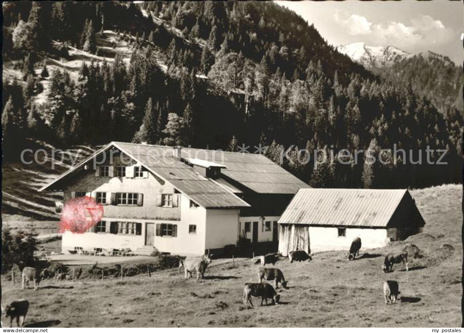 Gunzesried Bergheim Waibel