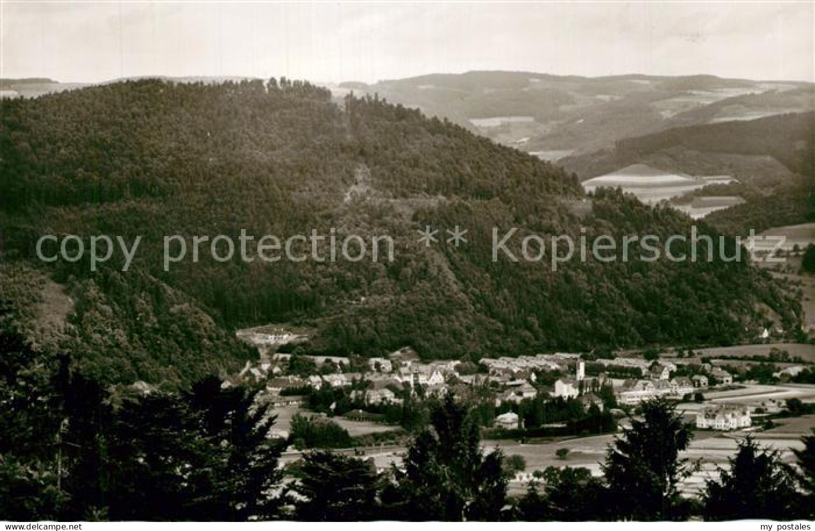 Gutach Breisgau Panorama