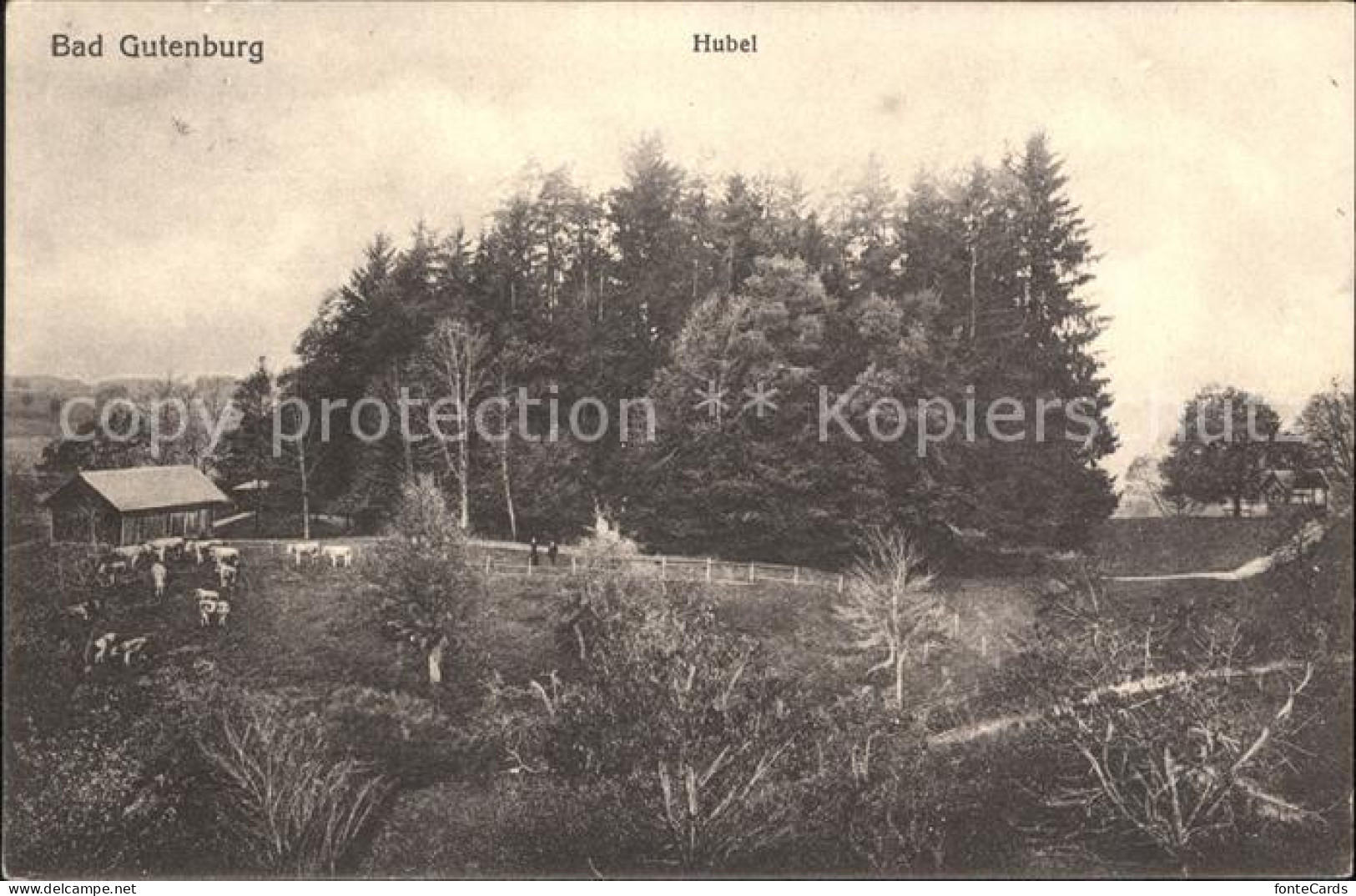 Gutenburg Aarwangen Bad Hubel