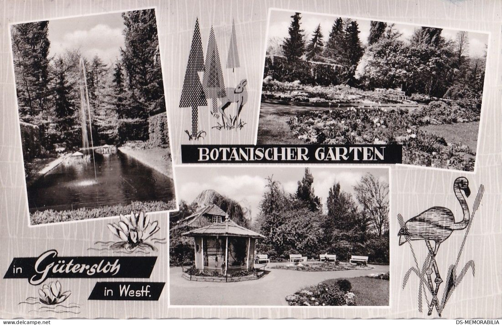 Gütersloh - Botanischer Garten 1963