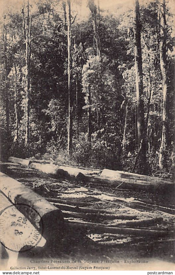 Guyane - Chantiers forestiers de la Guyane Française - Exploitation - Ed. Jarry