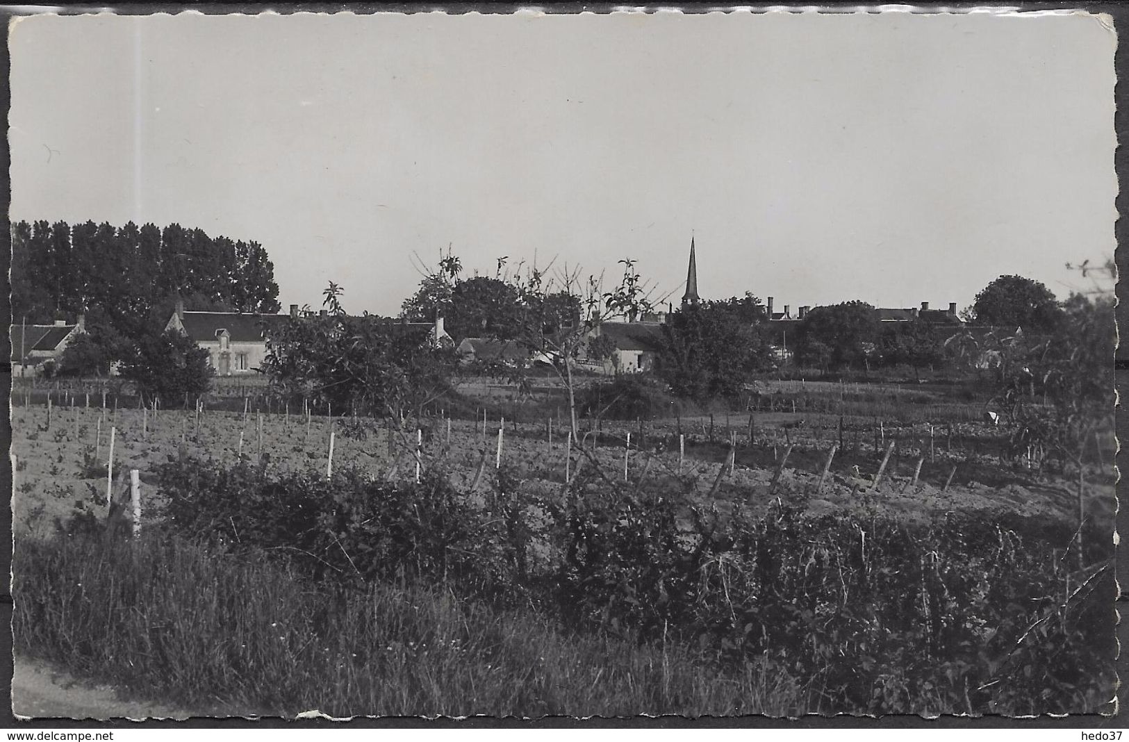 Gy-en-Sologne - Vue générale