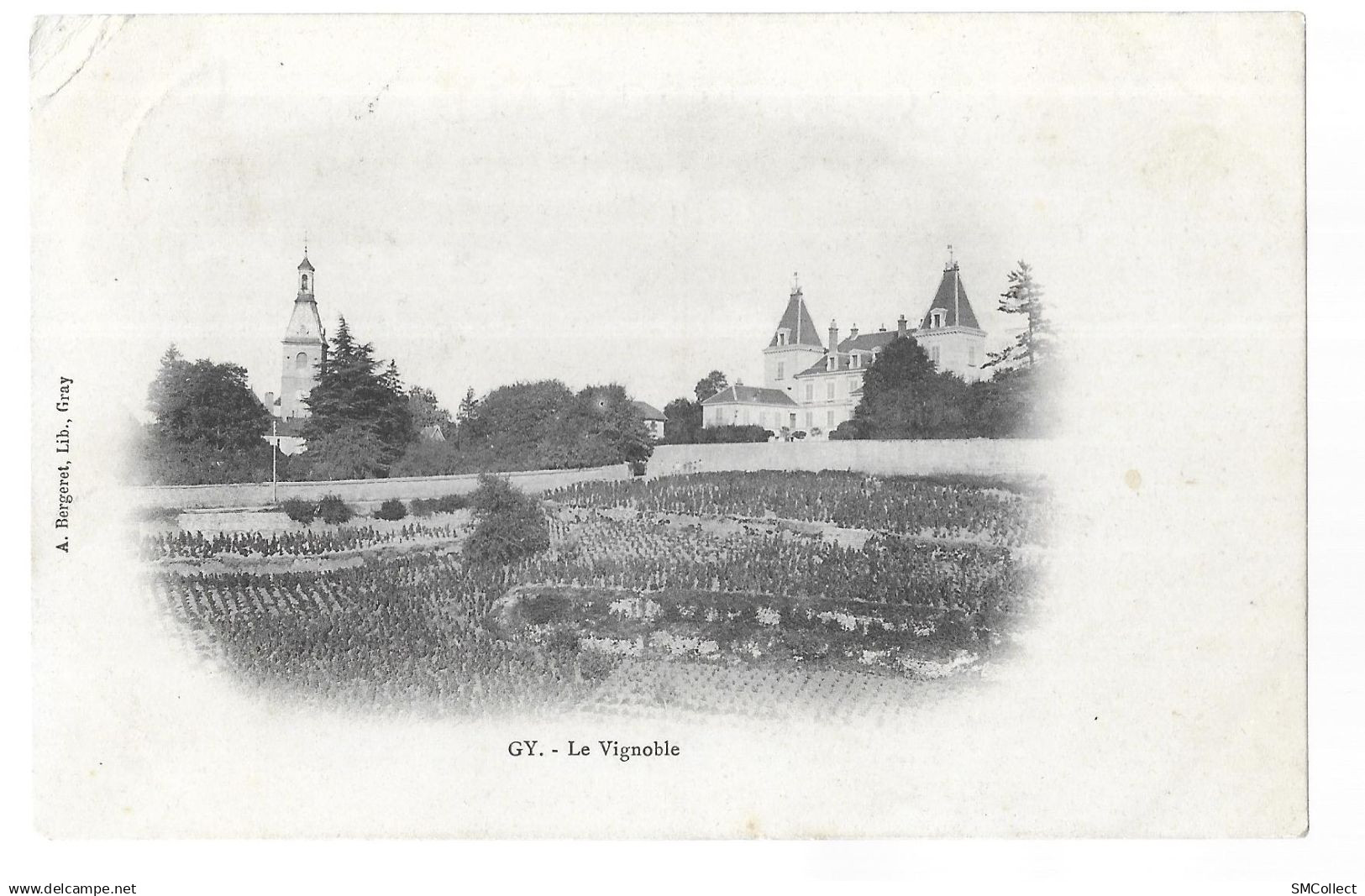 Gy, le vignoble (A21p11)