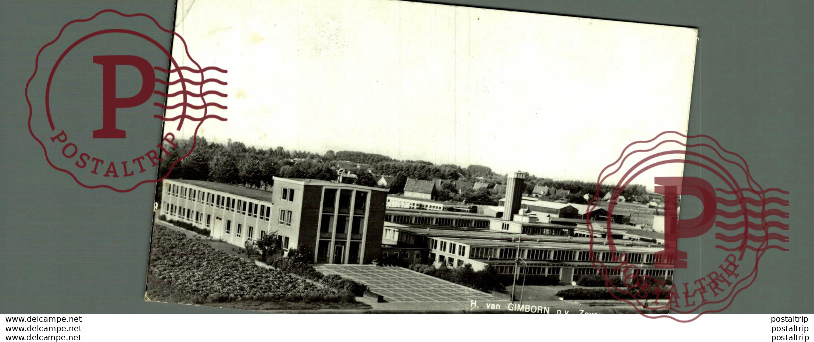 H. VAN GIMBORN  N.V. ZEVENAR-HOLLAND    HARTELIJKE GROETEN UIT ZEVENAAR