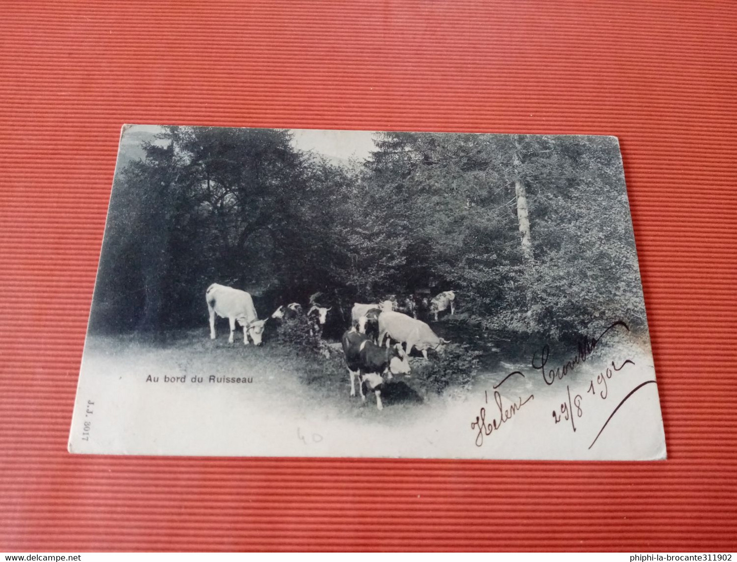 H3: BORD DU RUISSEAU envoyé depuis LA TOUR DE TREME