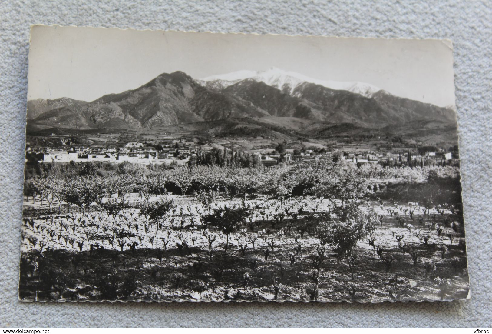 H664, Cpsm 1959, Prades, vue générale et le Canigou, Pyrénées orientales 66