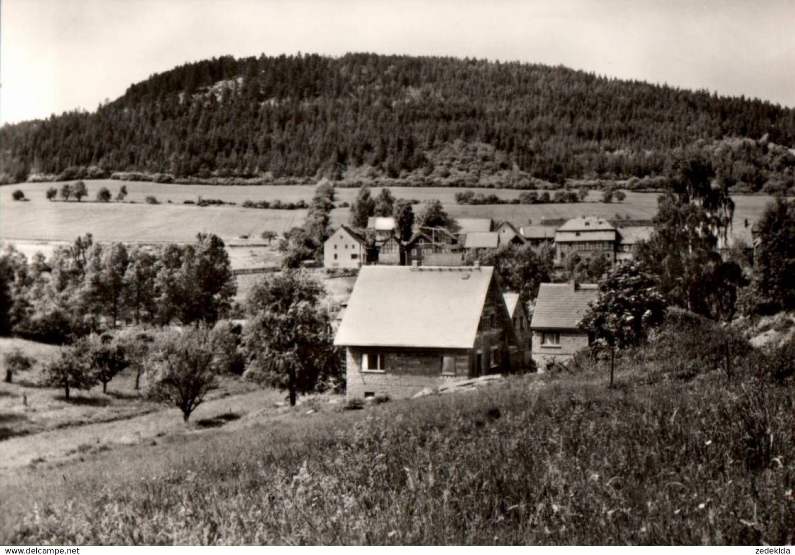 H8266 - TOP Singen Stadtilm - Verlag Albert Horn