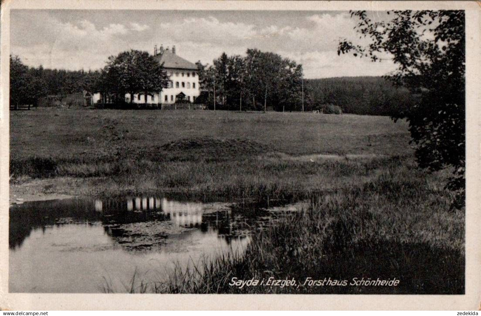 H9987 - Sayda Dorfchemnitz Forsthaus Schönheide - Verlag Kallmer