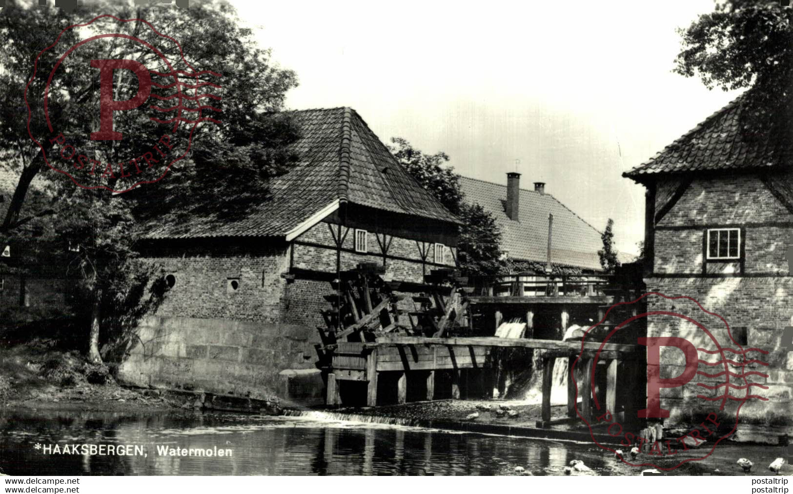 Haaksbergen Watermolen  HOLLAND HOLANDA NETHERLANDS