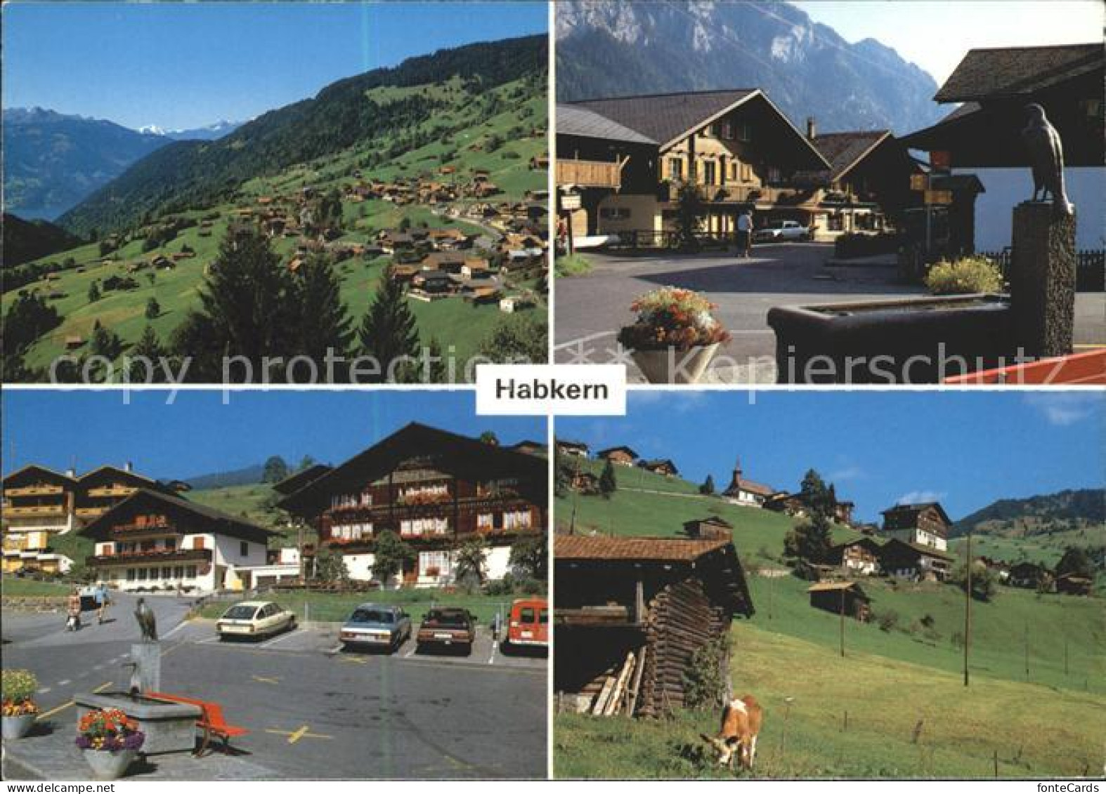 Habkern Brunnen Kuh