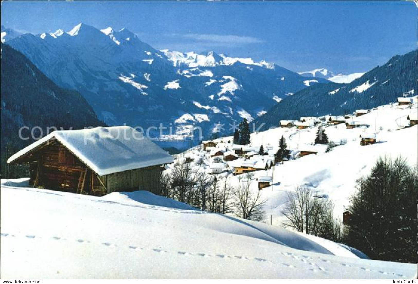 Habkern Morgenberghorn Dreispitz Wildhorn