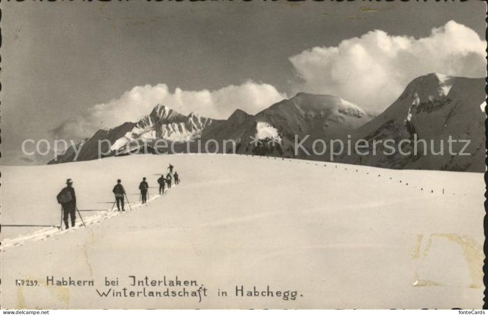 Habkern Winterpanorama in Habchegg